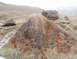Киргизский хребет, Миркенское ущелье, Остатки инженерных сооружений 4000 , Джамбульская область
